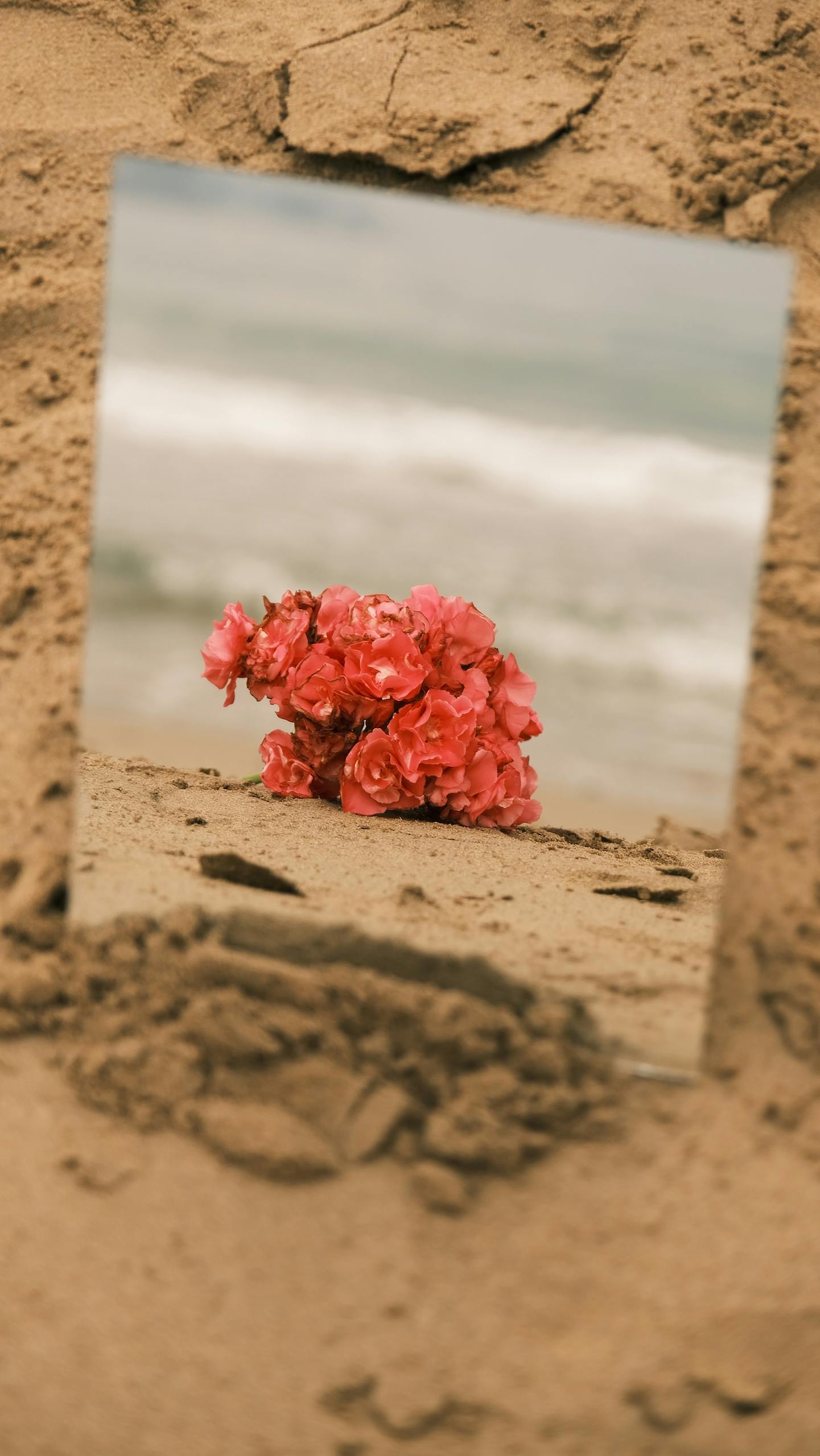 Beautiful pink roses reflected on a sandy beach, creating a serene and stunning scenery.